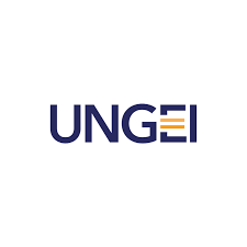 UNGEI